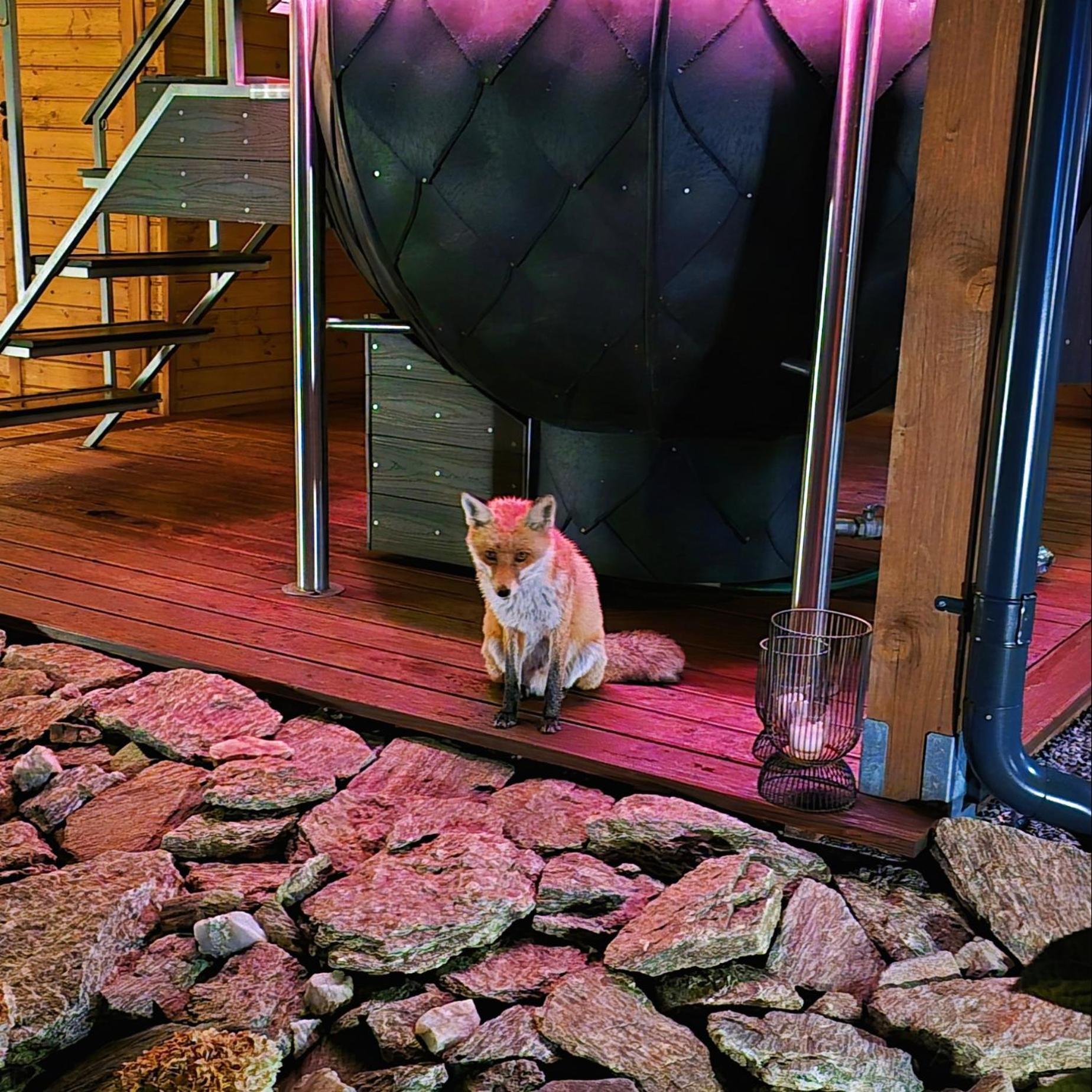 Osada Orlica Klimatyczne Domki Z Widokiem Na Gory I Termalnym Spa Sauna Jacuzzi 4 Km Od Zieleniec Ski Arena Lasowka 외부 사진